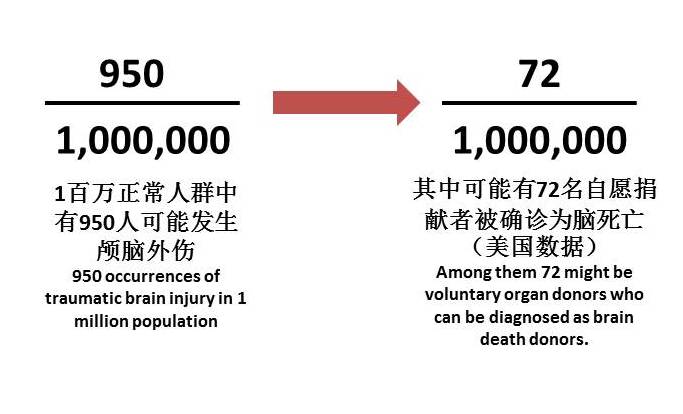 追查国际：中国医学论文泄中共活摘器官证据