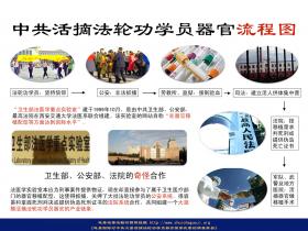 （图片） 中国活摘法轮功学员器官流程图