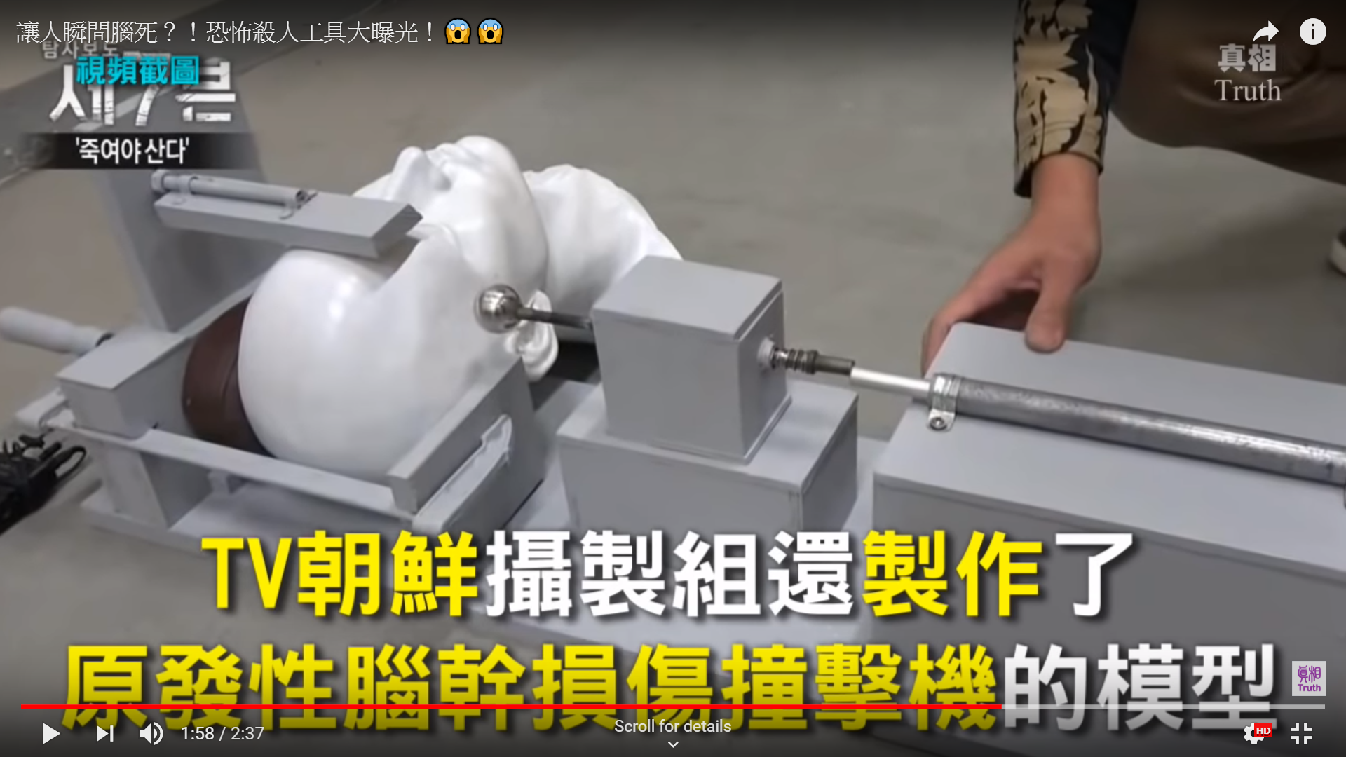 脑死亡机模型