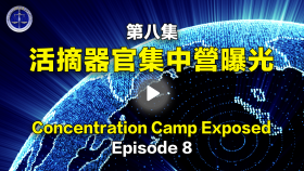第8集 活摘器官集中營曝光