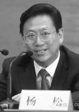 中共政协人口资源环境委员会副主任、原湖北省副书记杨松