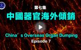 第7集1999年後中國器官移植機構迅速擴建和器官海外傾銷