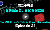 第二十五集 中共政法委、610参与活摘