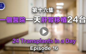第十六集 一个医院一天肝肾移植24台