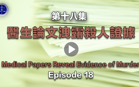 第十八集 中国大陆医生医生论文泄露杀人证据
